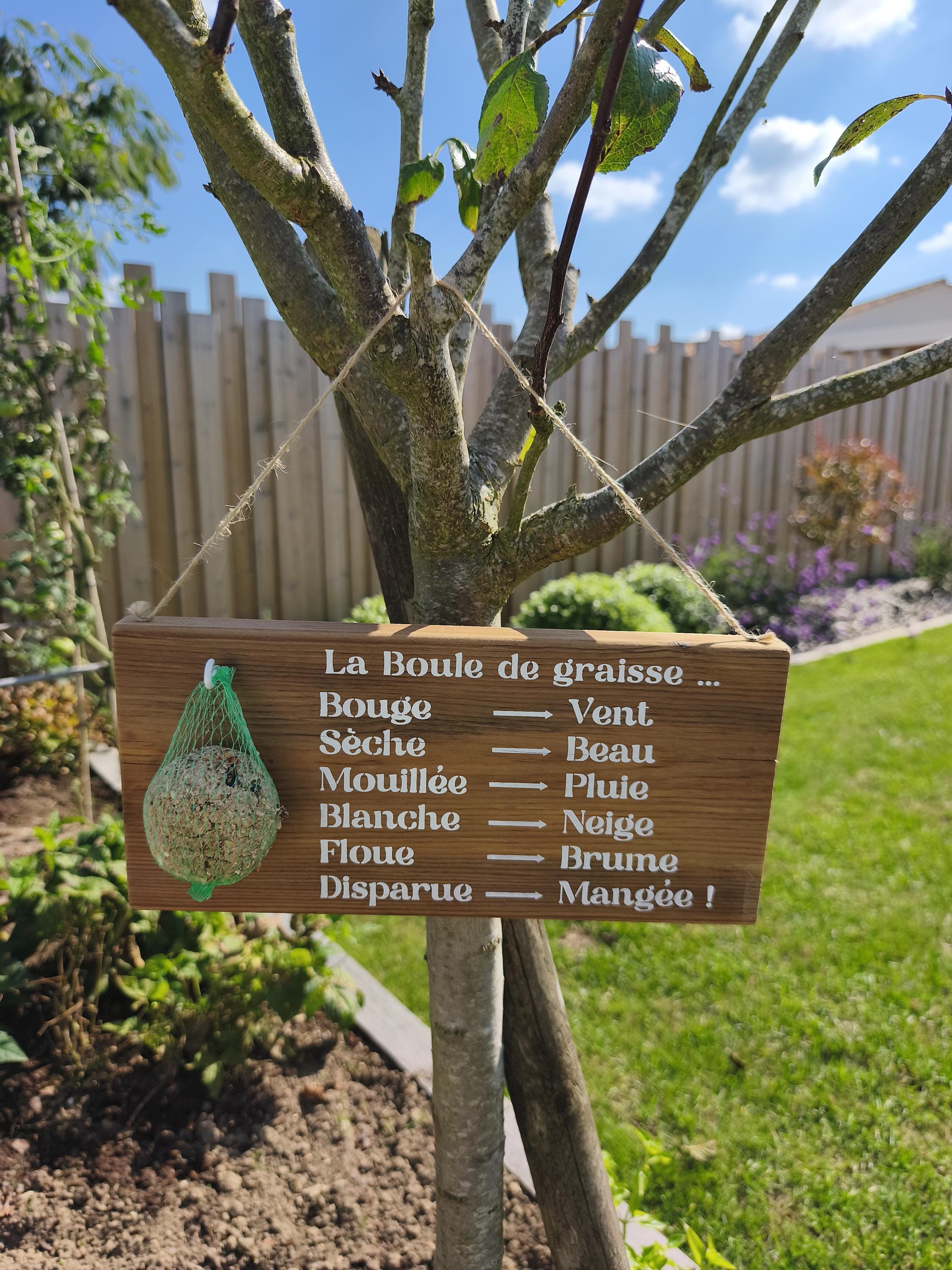 Mangeoire pour oiseaux - Baromètre humoristique
