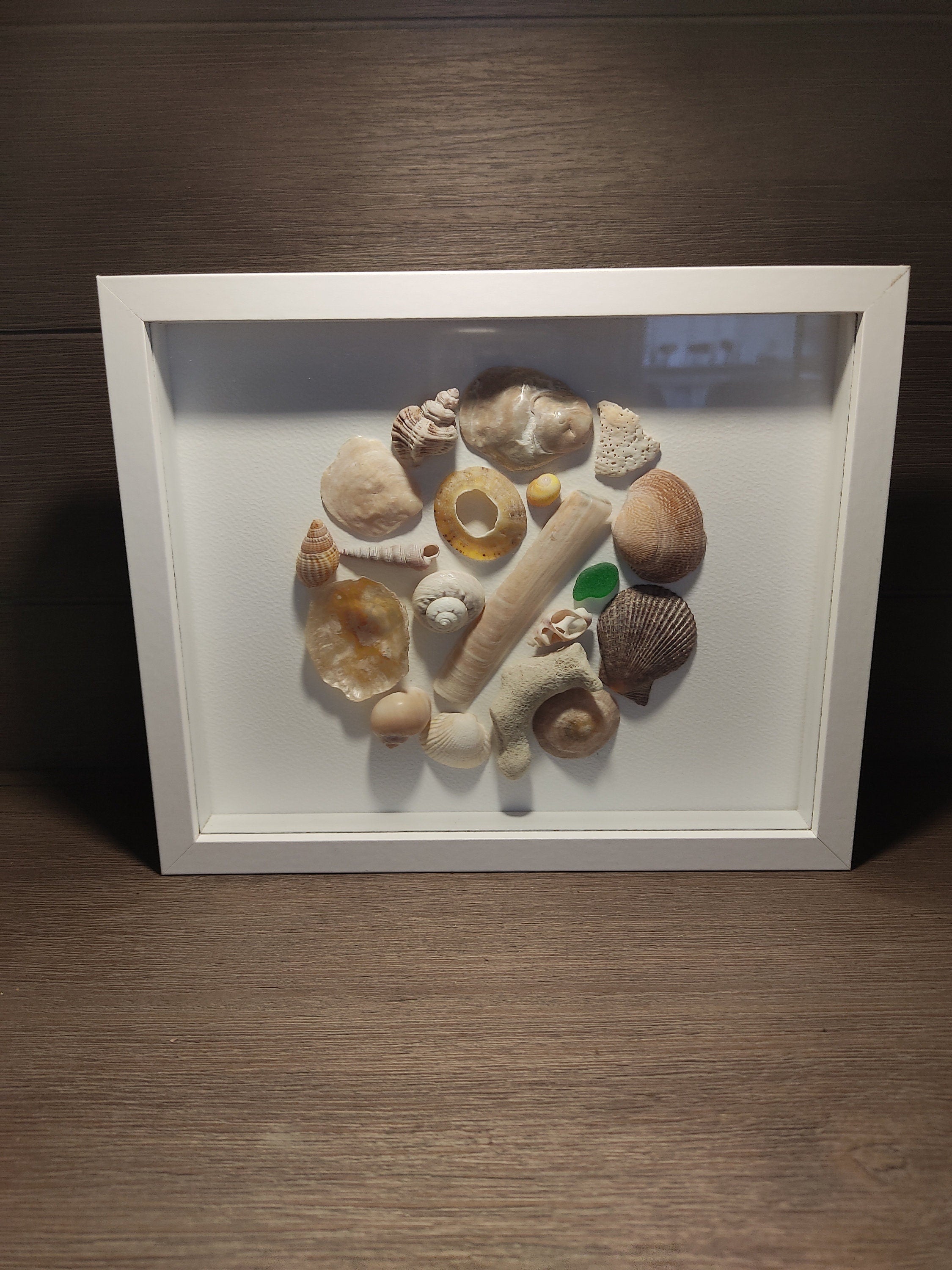Tableau coquillages