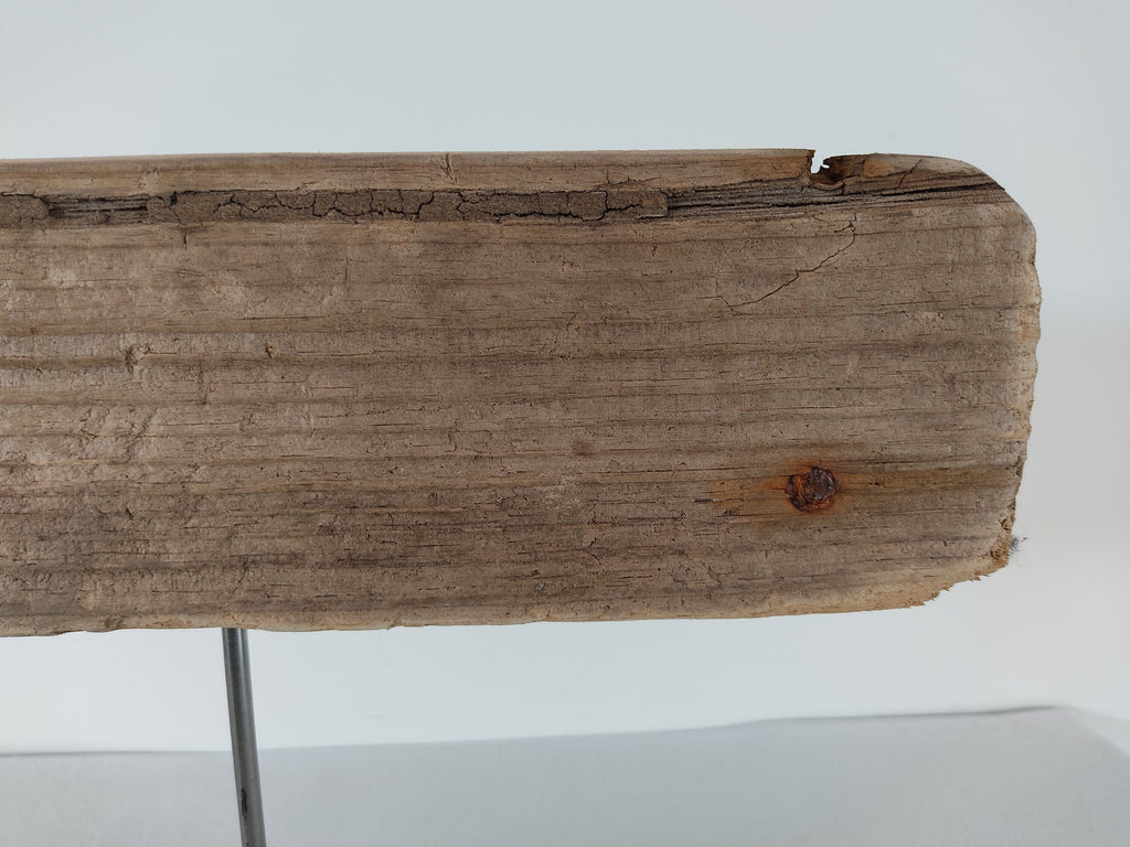 Baleine en bois flotté