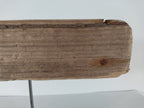 Baleine en bois flotté