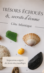 Cadre Coquillages & Trésors Échoués | Décoration Murale Bord de Mer