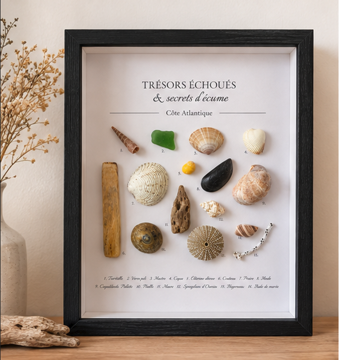 Cadre Coquillages Personnalisé - Vos Souvenirs de Plage