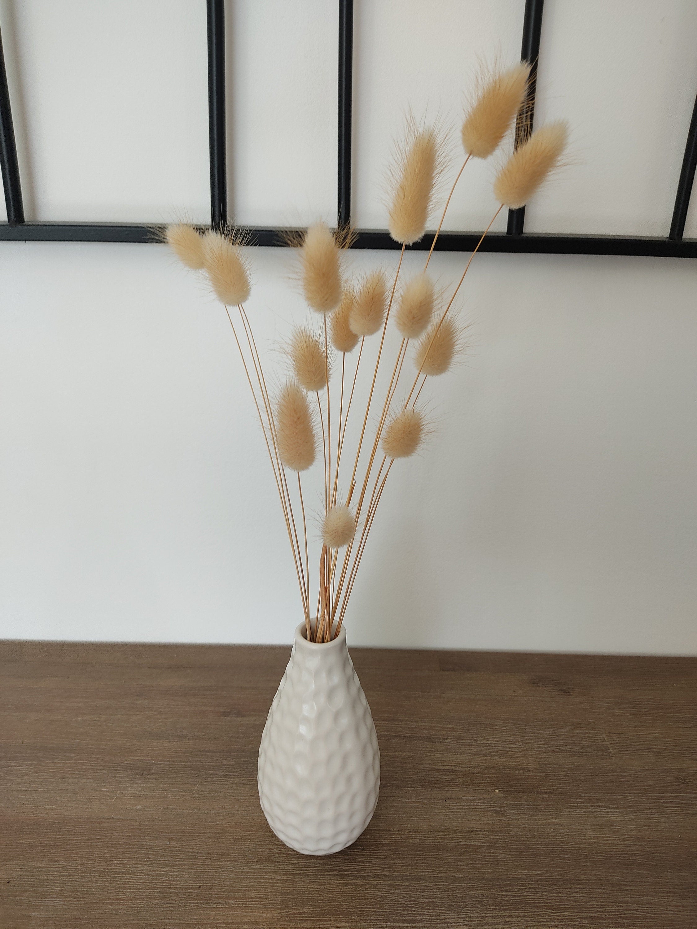 Lagurus, queue de lapin, fleurs séchées