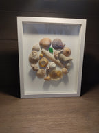 Tableau coquillages