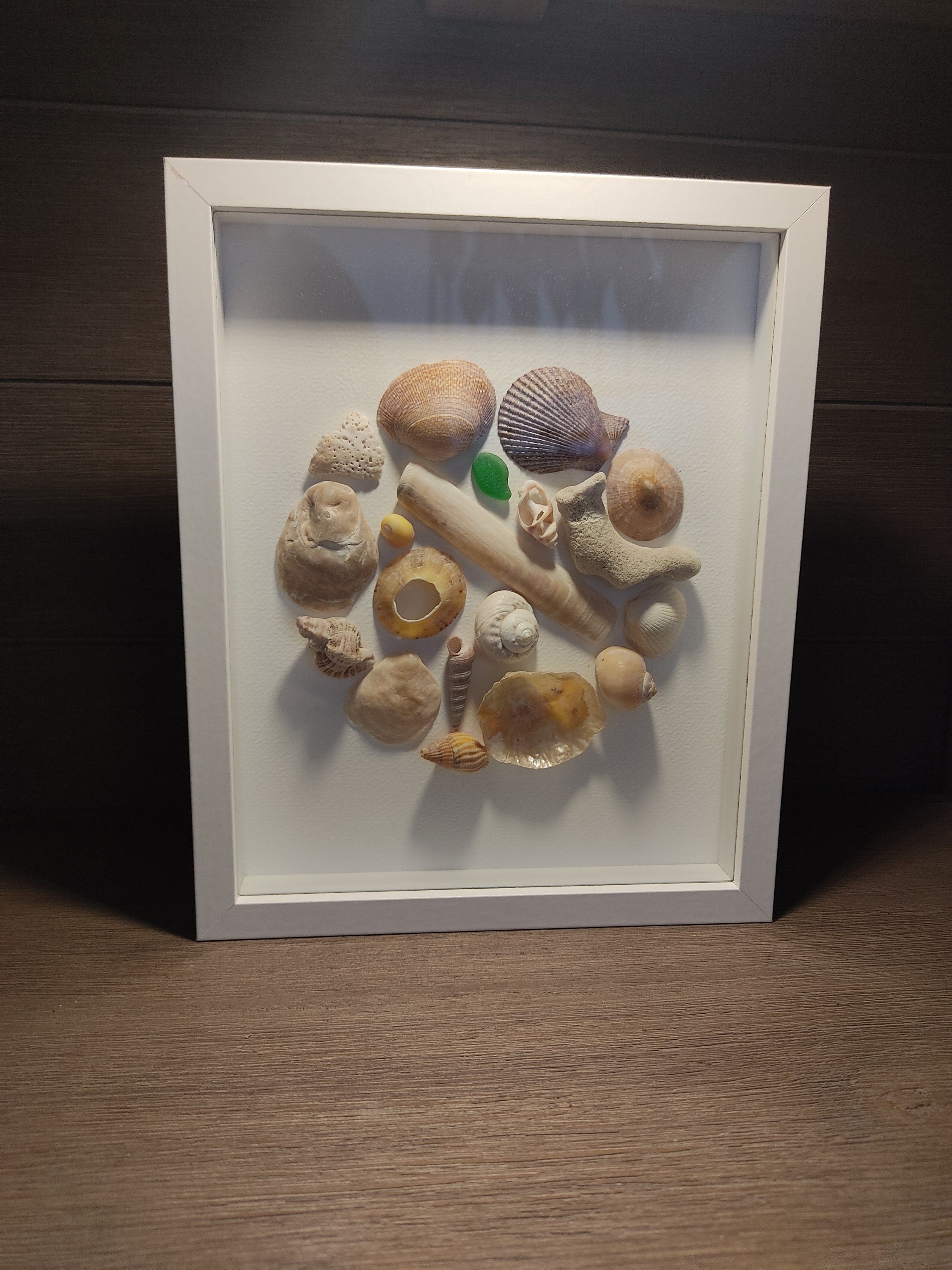 Tableau coquillages