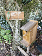 Mangeoire pour oiseaux - Baromètre humoristique