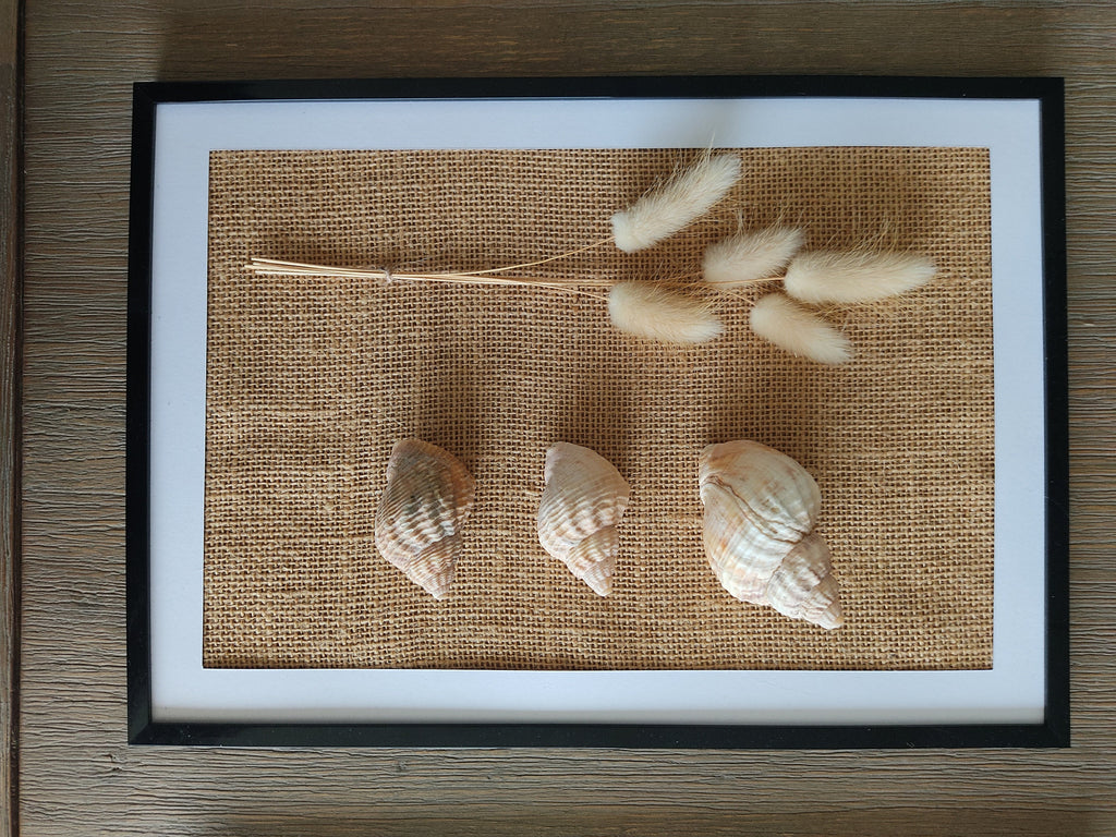 Tableau floral et coquillages