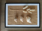 Tableau floral et coquillages