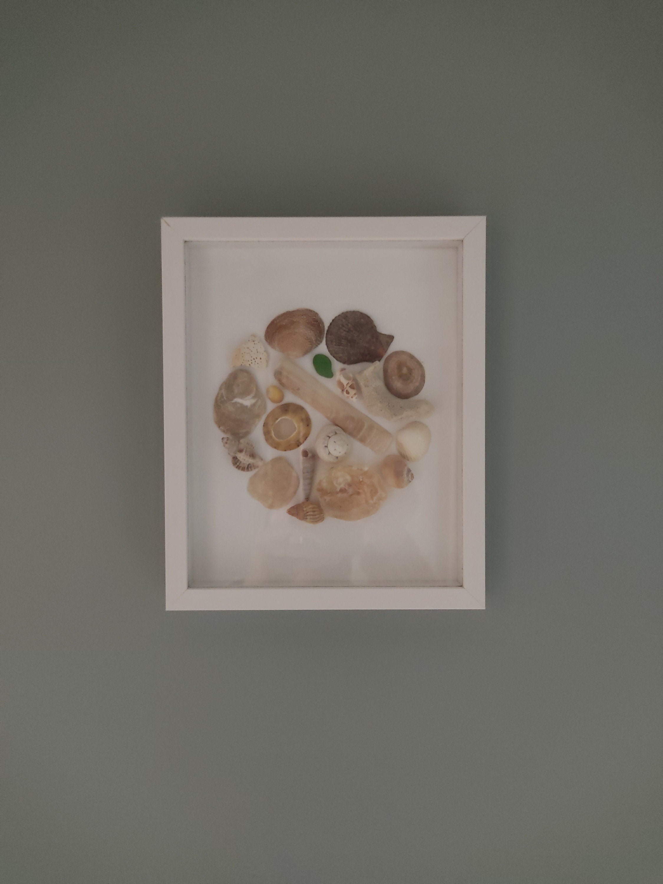Tableau coquillages