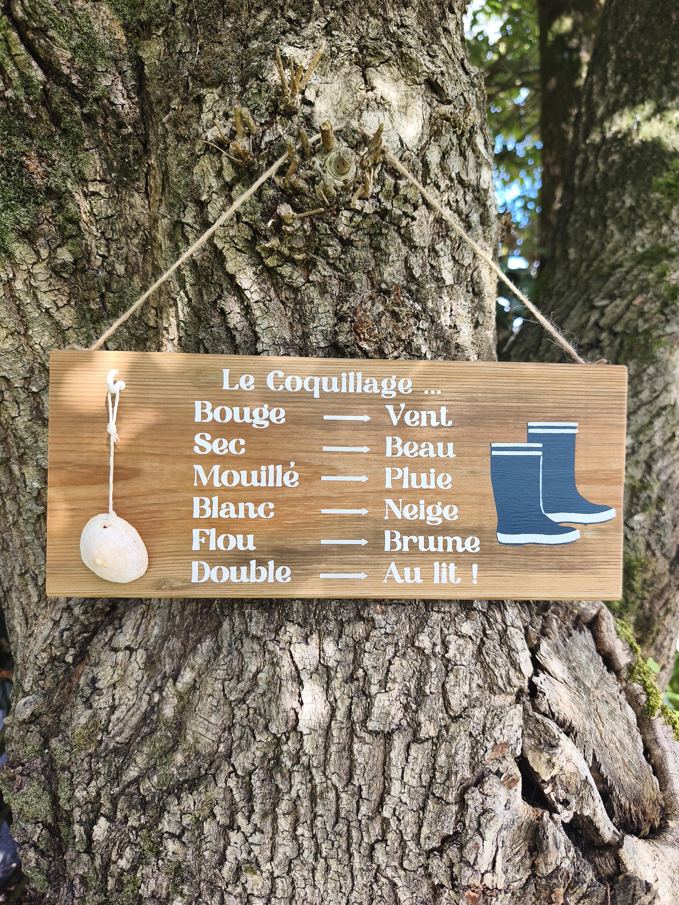 Baromètre humoristique coquillage