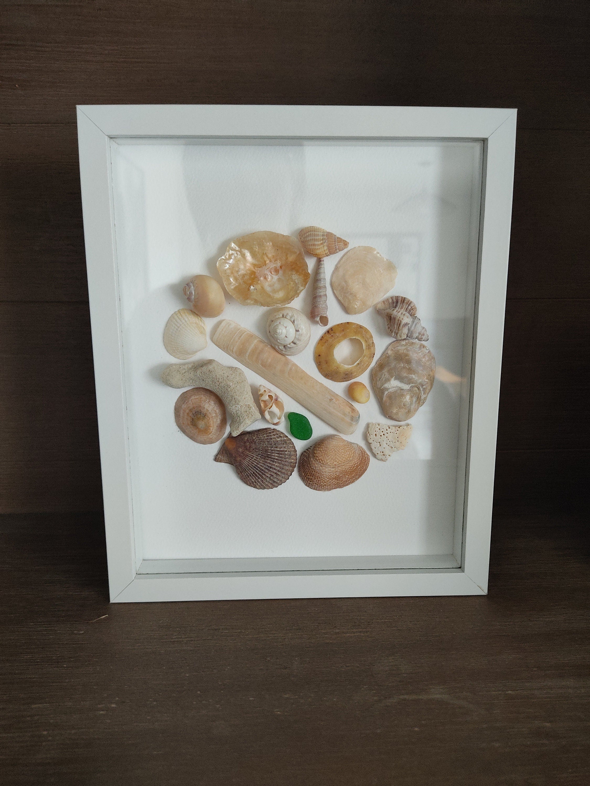 Tableau coquillages