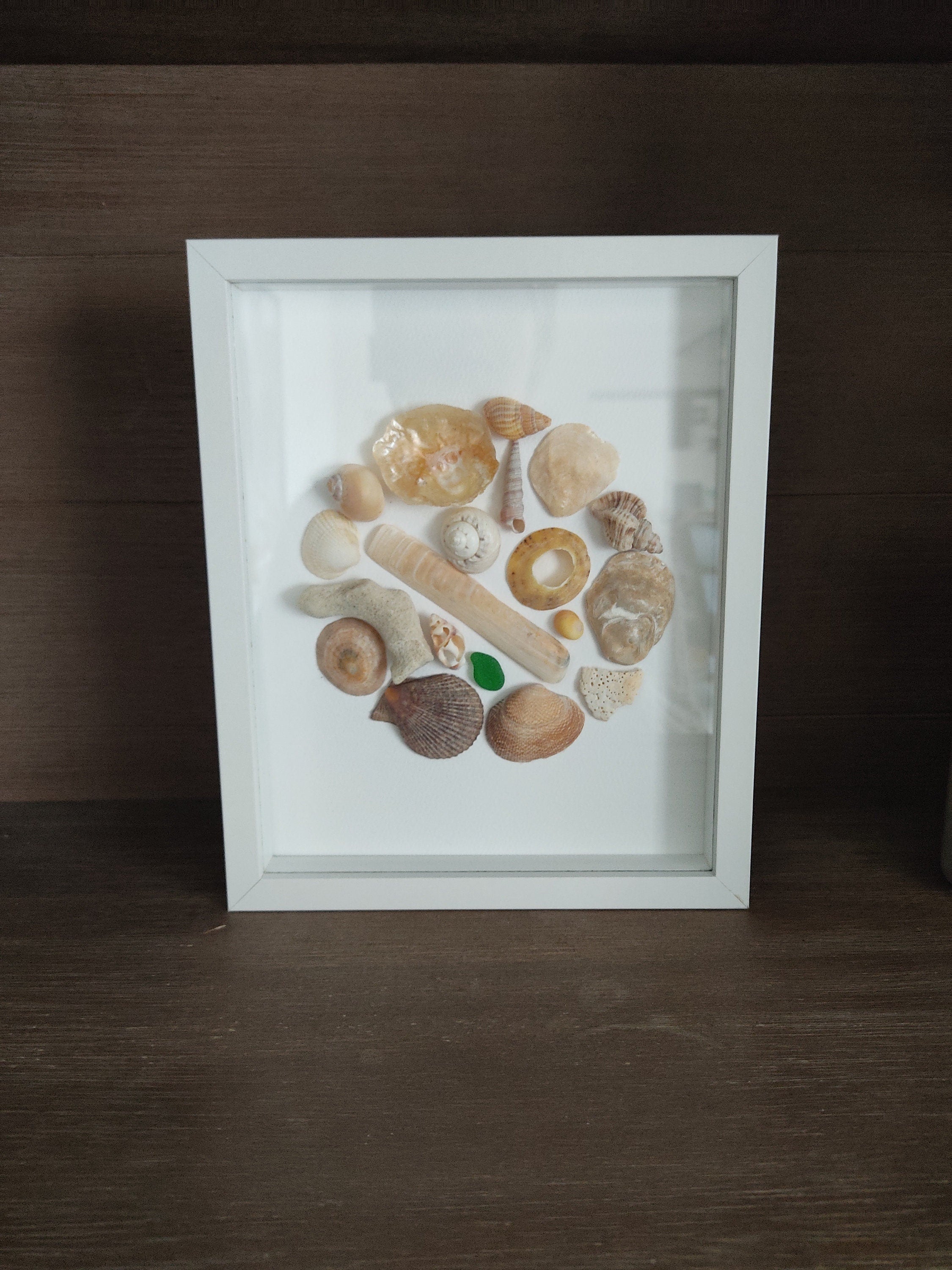 Tableau coquillages