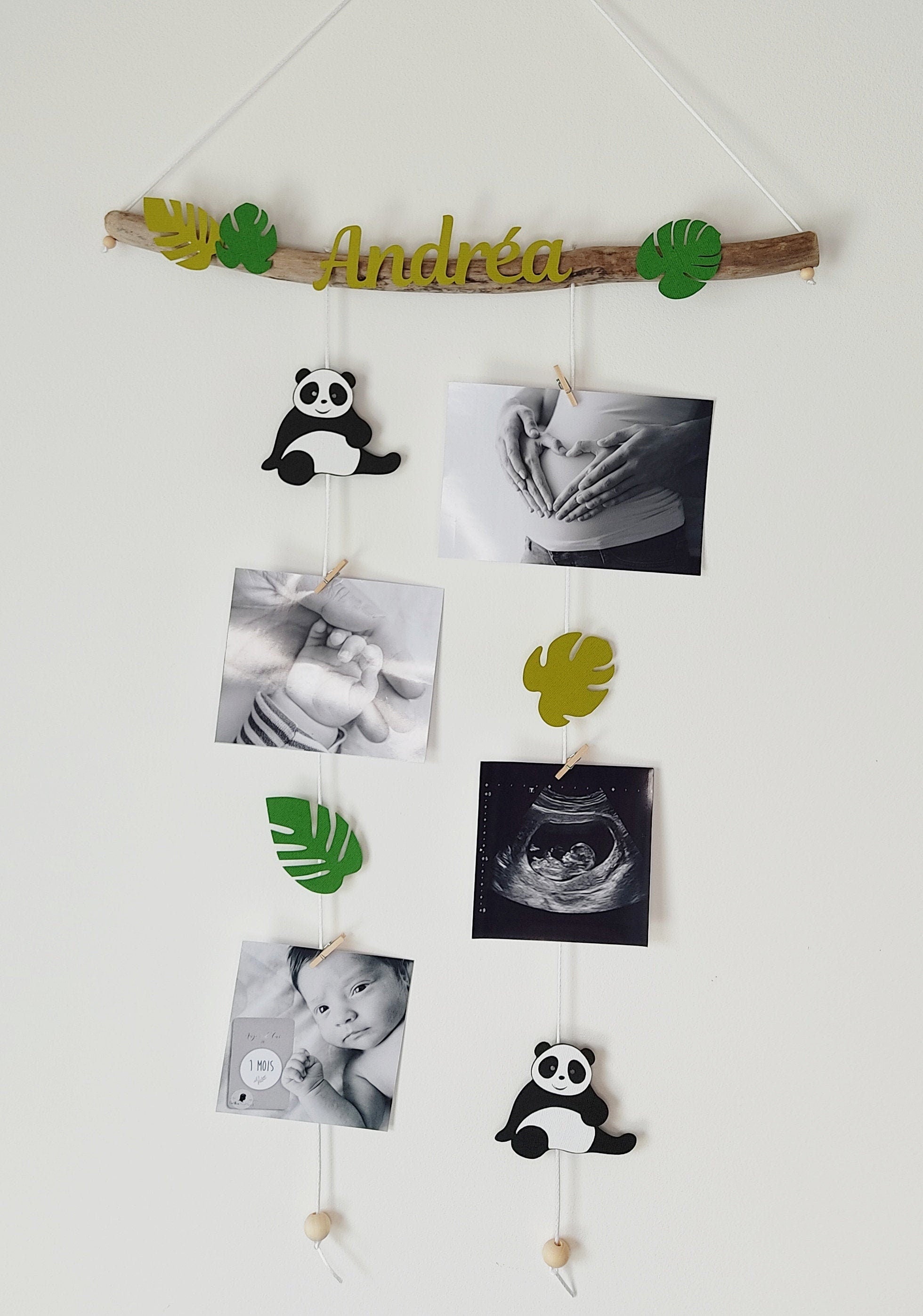 Panda tropical