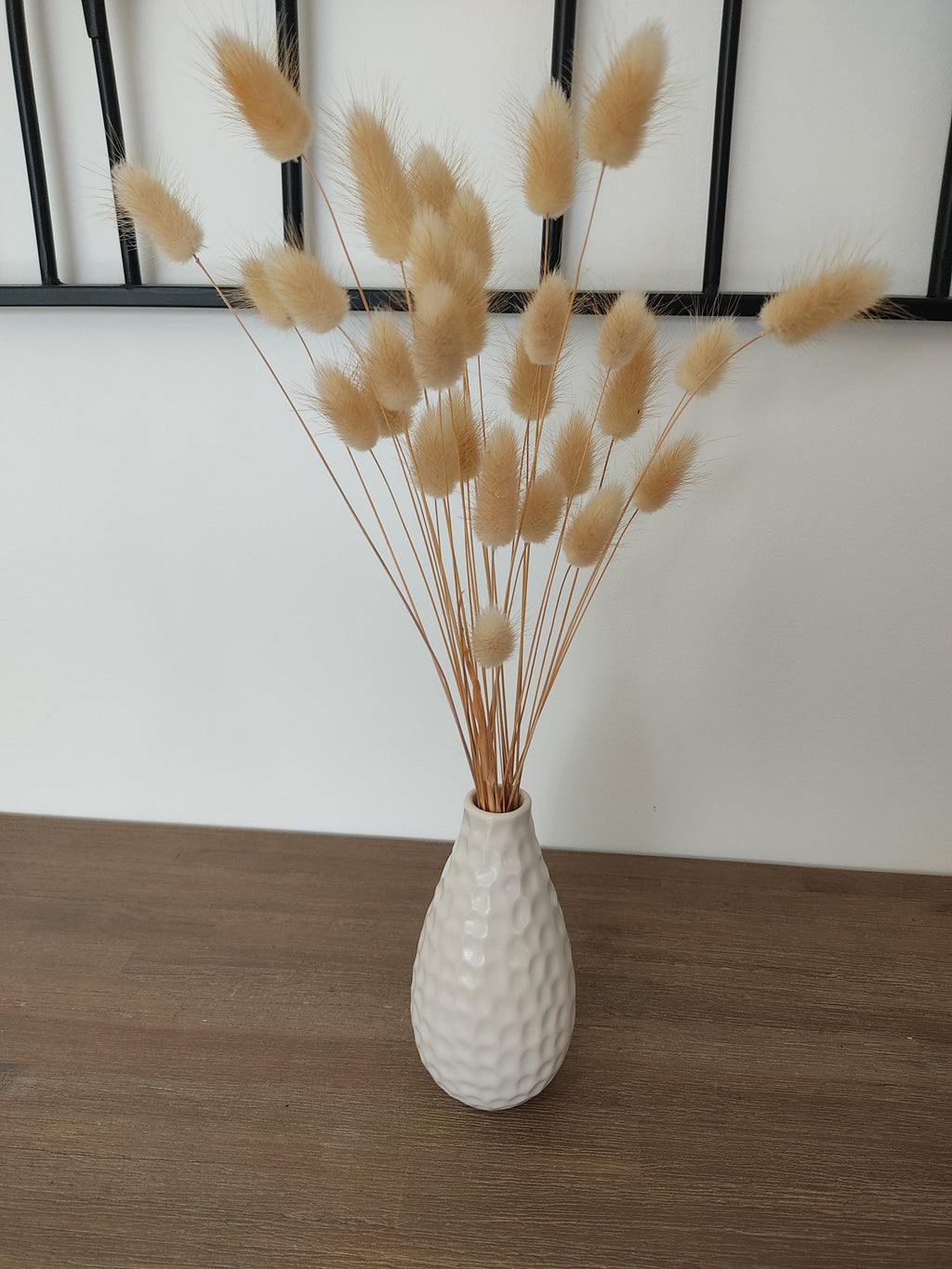 Lagurus, queue de lapin, fleurs séchées
