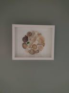 Tableau coquillages