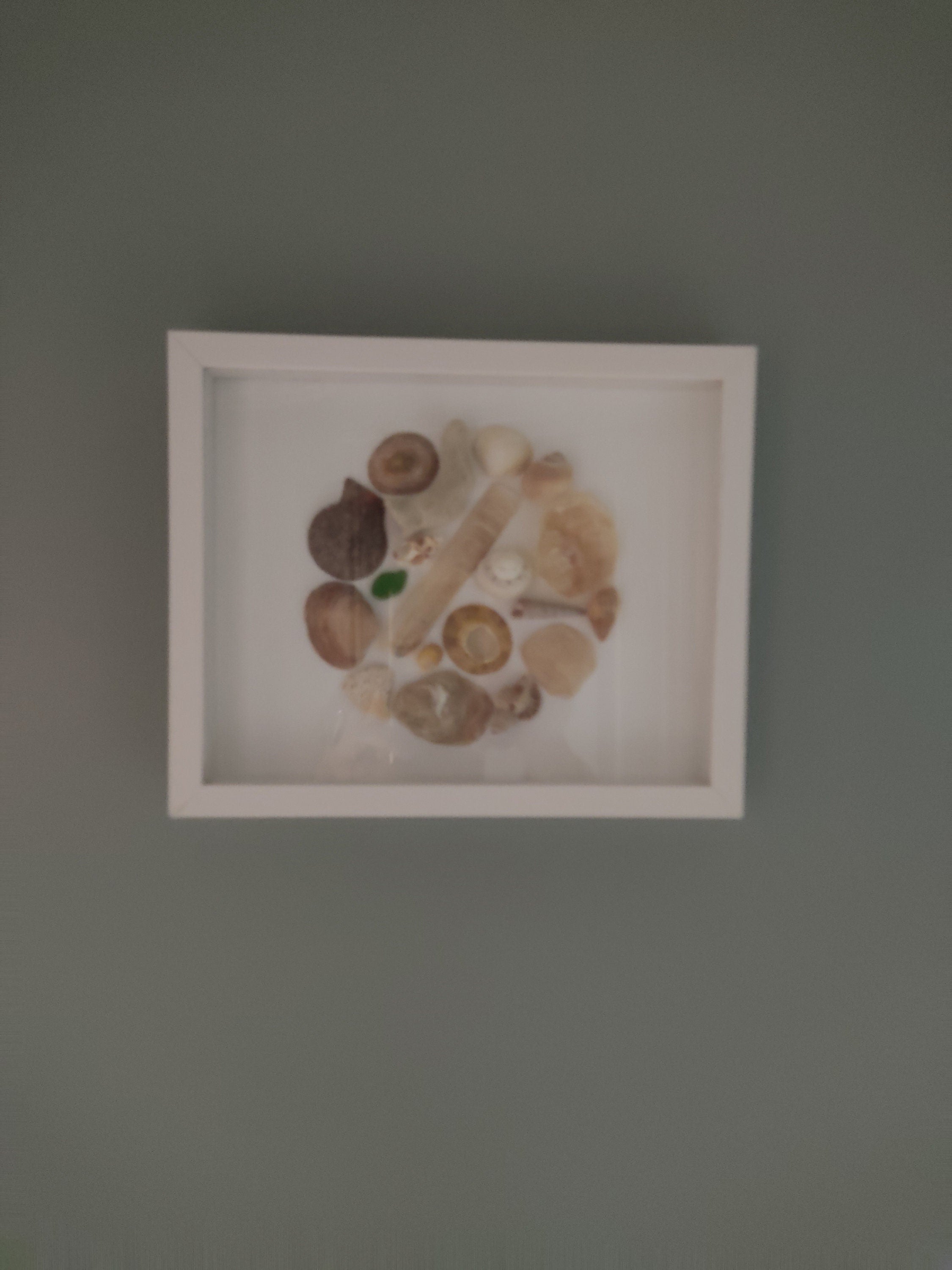 Tableau coquillages