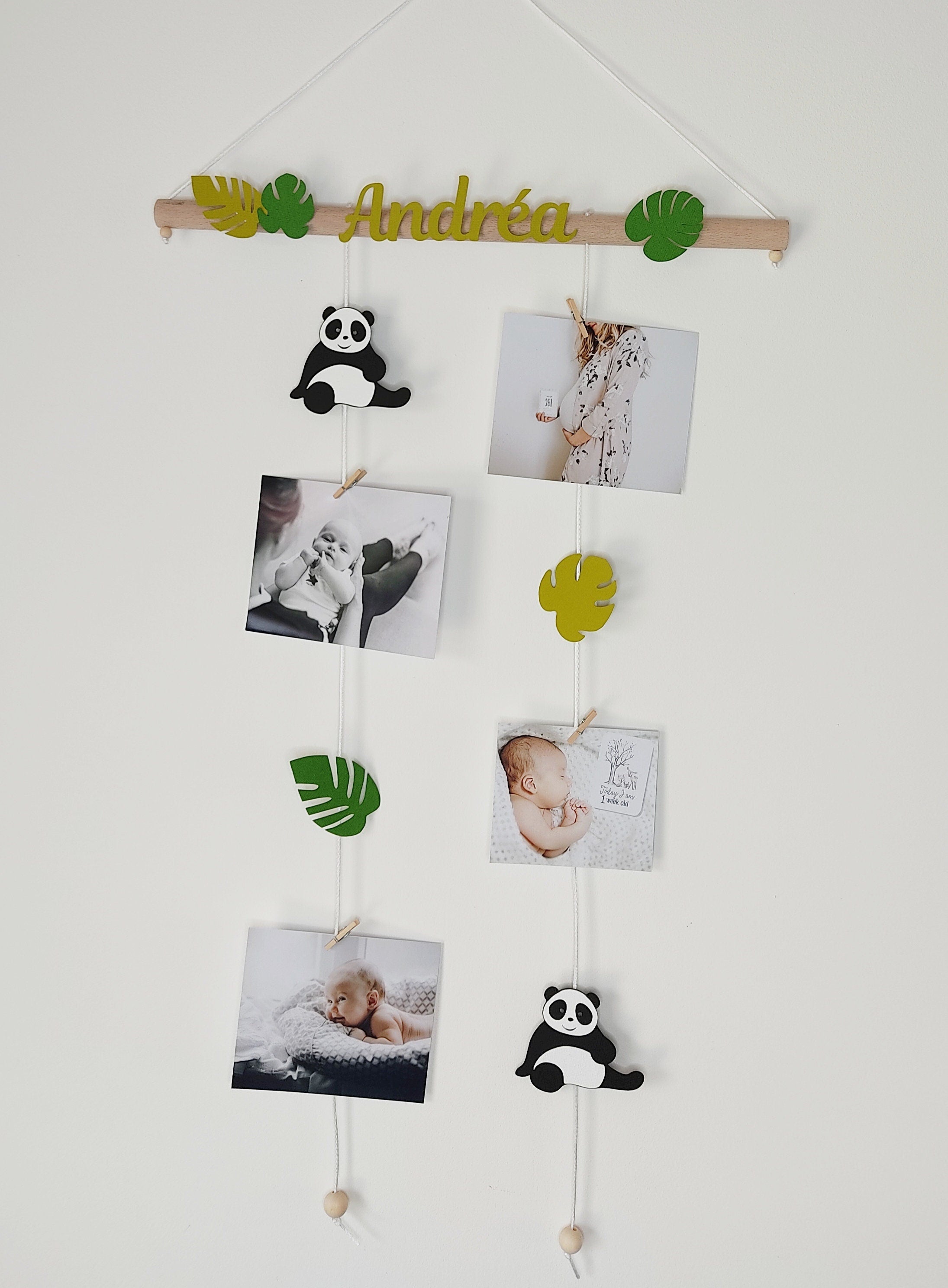 Panda tropical