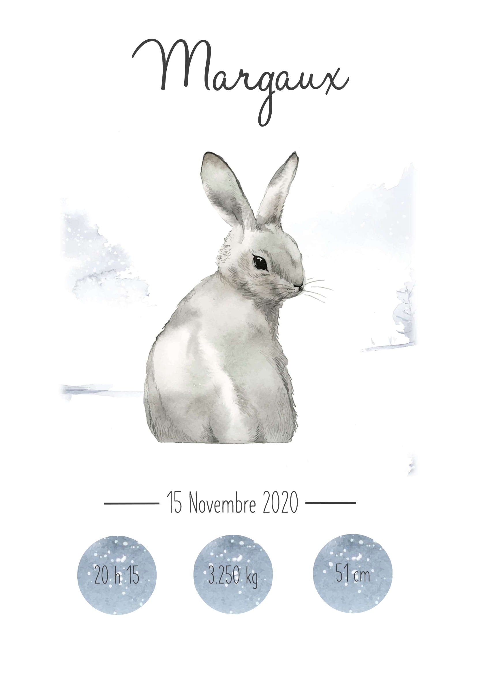 Affiche de naissance animaux hiver