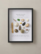 Cadre Coquillages & Trésors Échoués | Décoration Murale Bord de Mer
