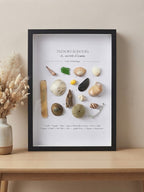Cadre Coquillages & Trésors Échoués | Décoration Murale Bord de Mer