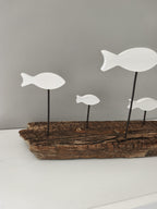 Banc de Poissons Blancs sur Bois Flotté