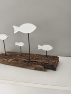 Banc de Poissons Blancs sur Bois Flotté
