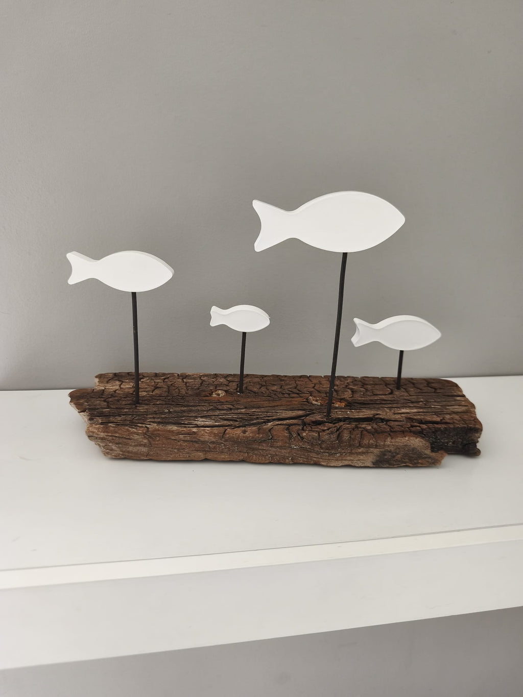 Banc de Poissons Blancs sur Bois Flotté