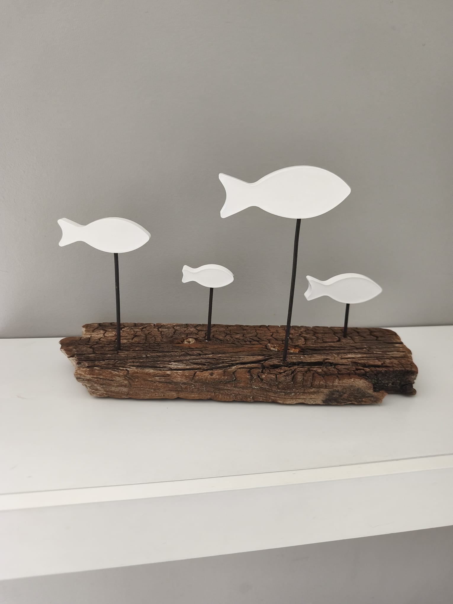 Banc de Poissons Blancs sur Bois Flotté
