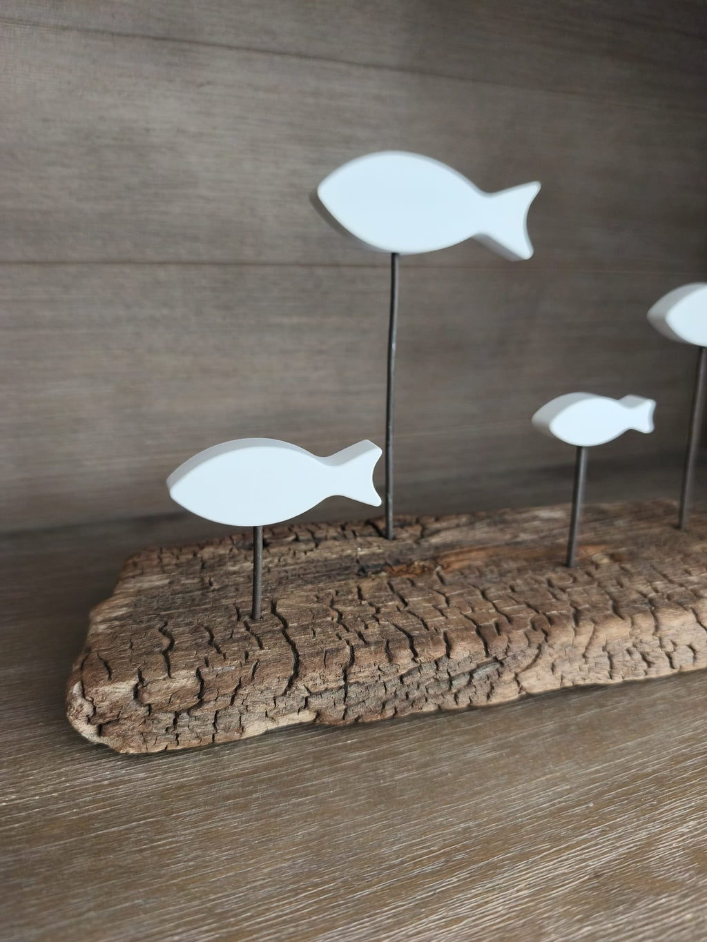 Banc de Poissons Blancs sur Bois Flotté