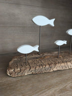 Banc de Poissons Blancs sur Bois Flotté