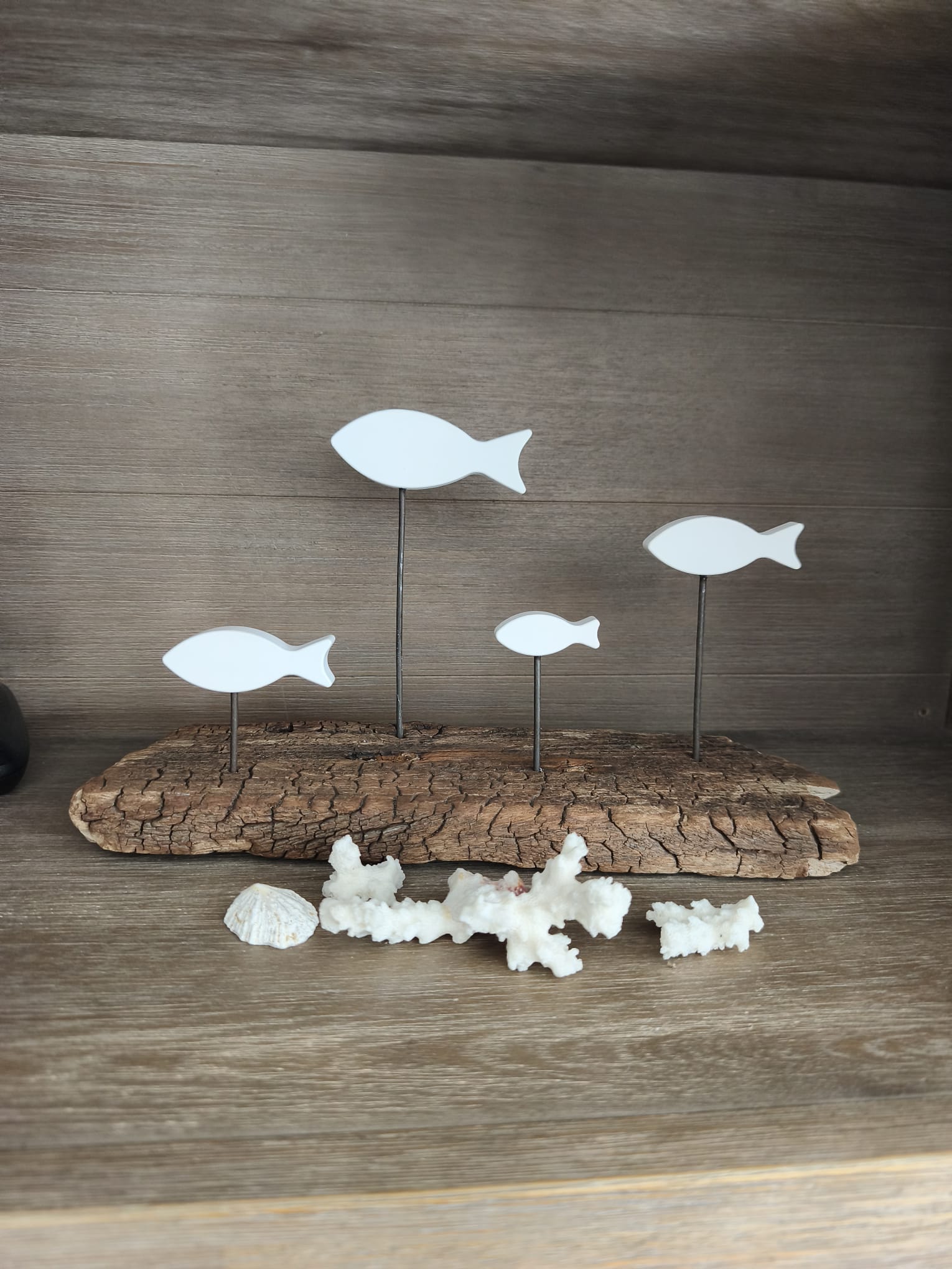 Banc de Poissons Blancs sur Bois Flotté