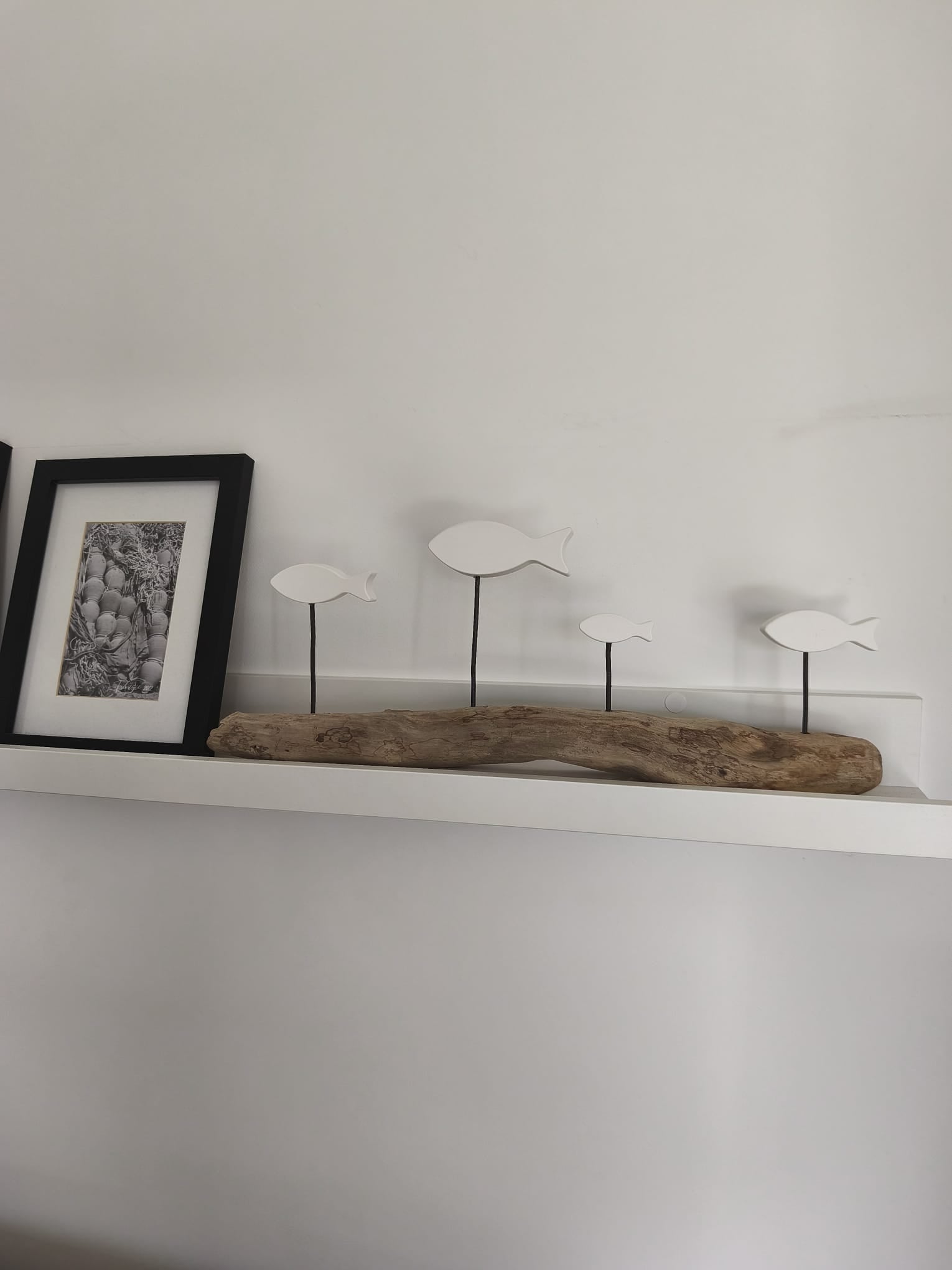 Banc de Poissons Blancs sur Bois Flotté