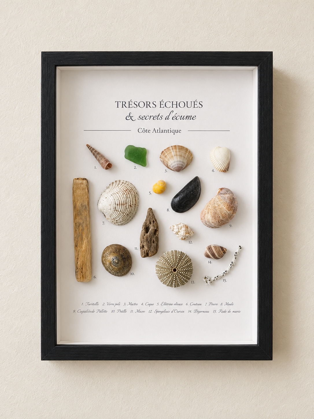 Cadre Coquillages Personnalisé - Vos Souvenirs de Plage
