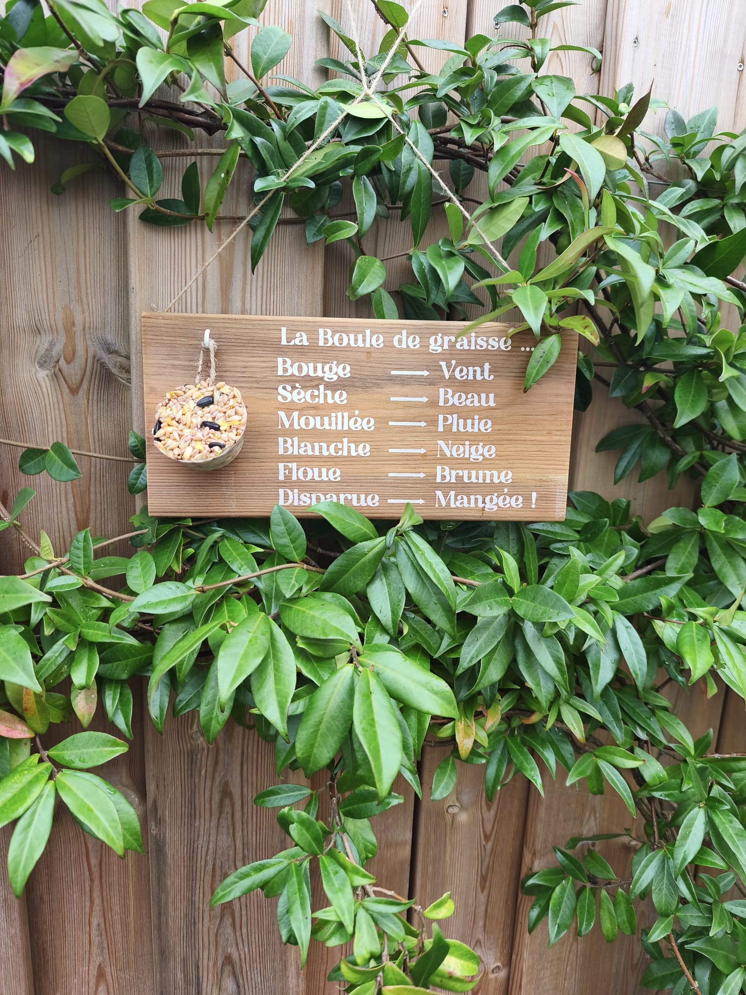 Mangeoire pour oiseaux - Baromètre humoristique