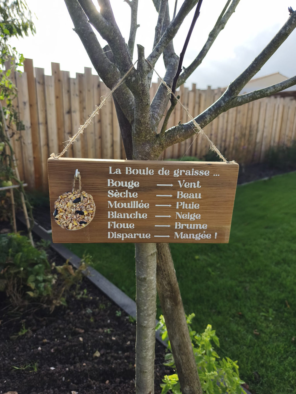 Mangeoire pour oiseaux - Baromètre humoristique