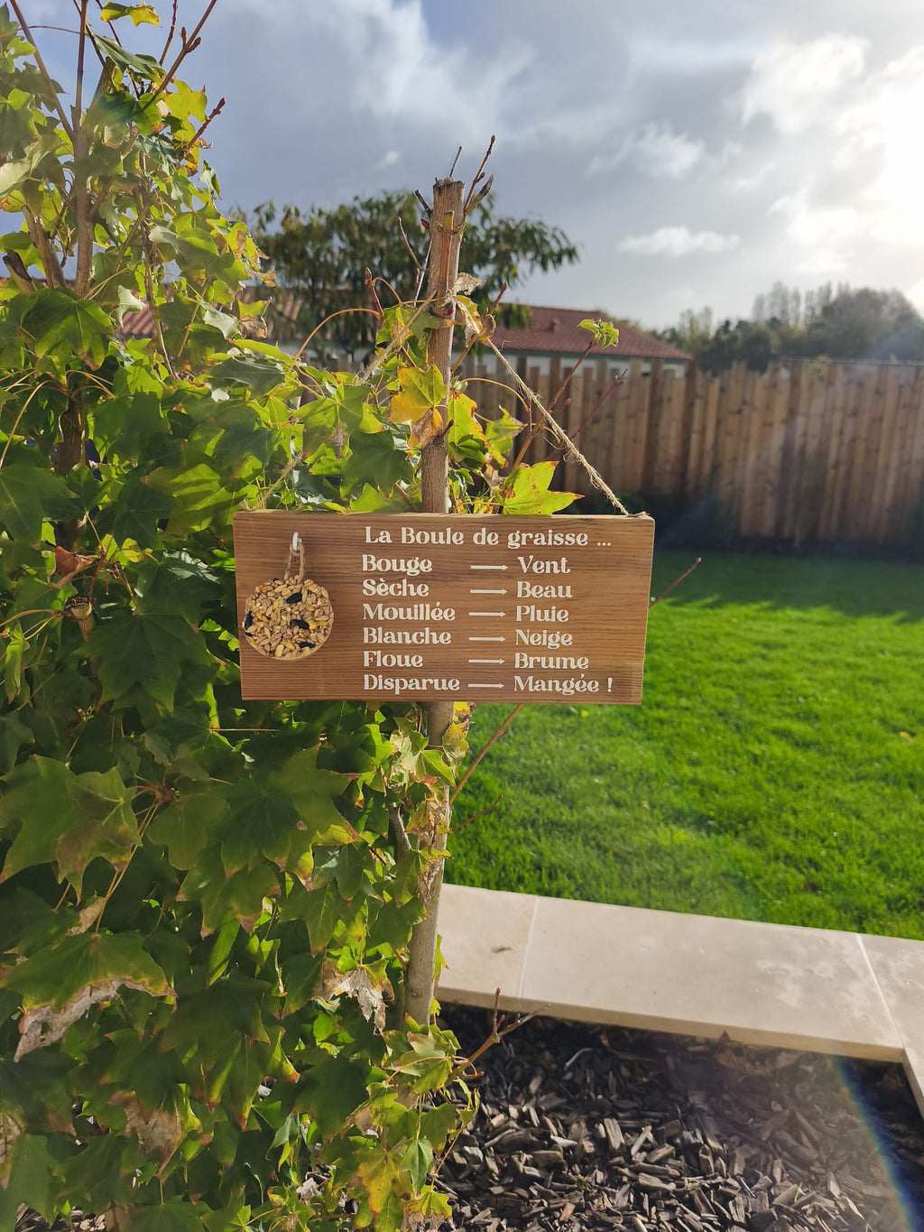 Mangeoire pour oiseaux - Baromètre humoristique