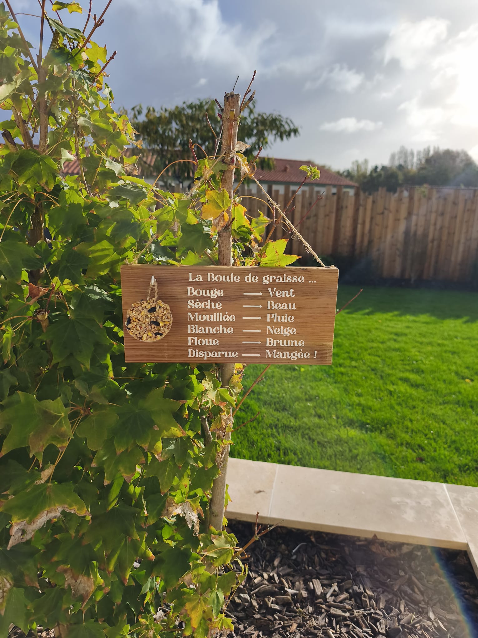 Mangeoire pour oiseaux - Baromètre humoristique