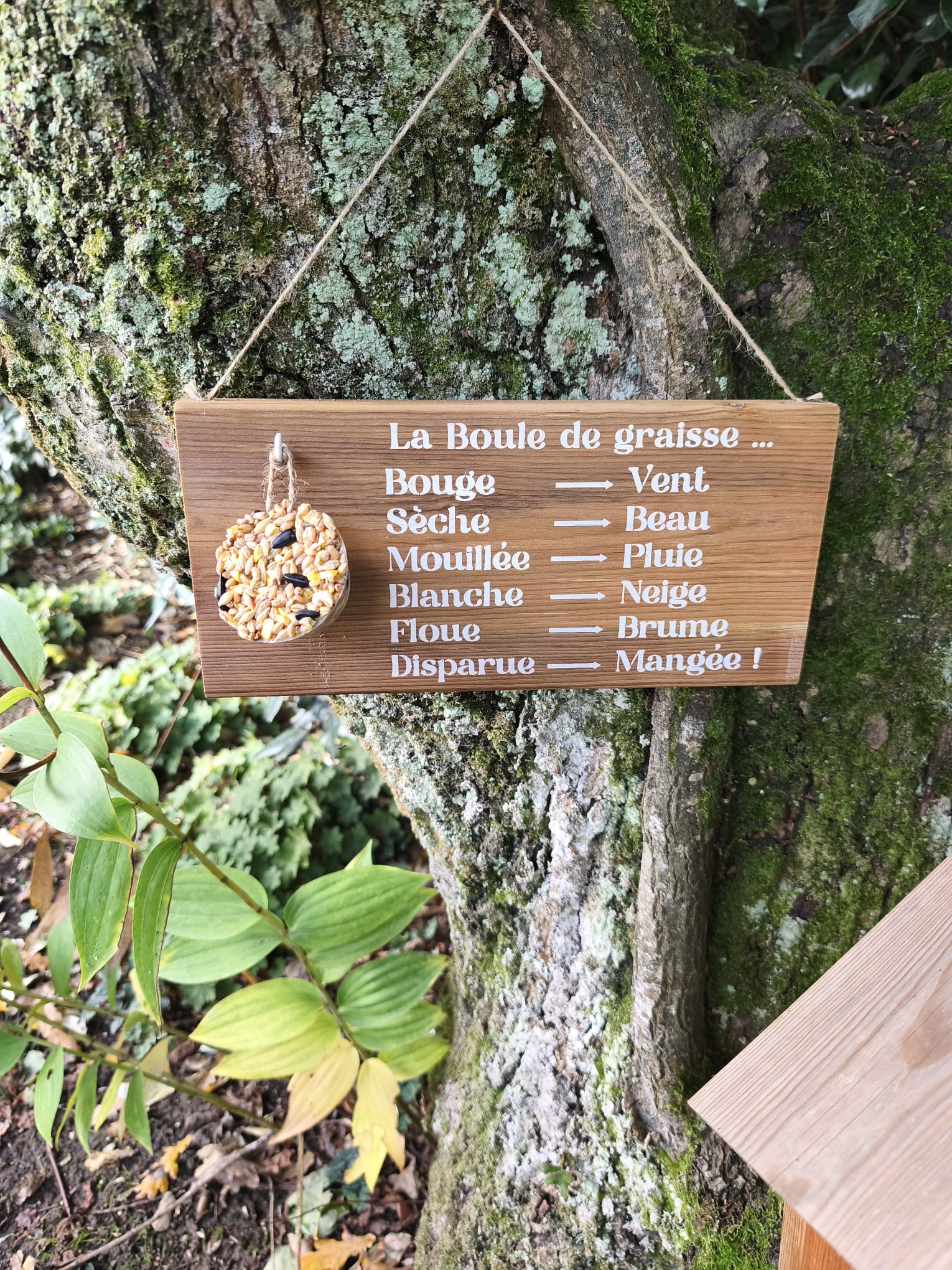 Mangeoire pour oiseaux - Baromètre humoristique