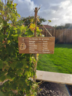 Mangeoire pour oiseaux - Baromètre humoristique