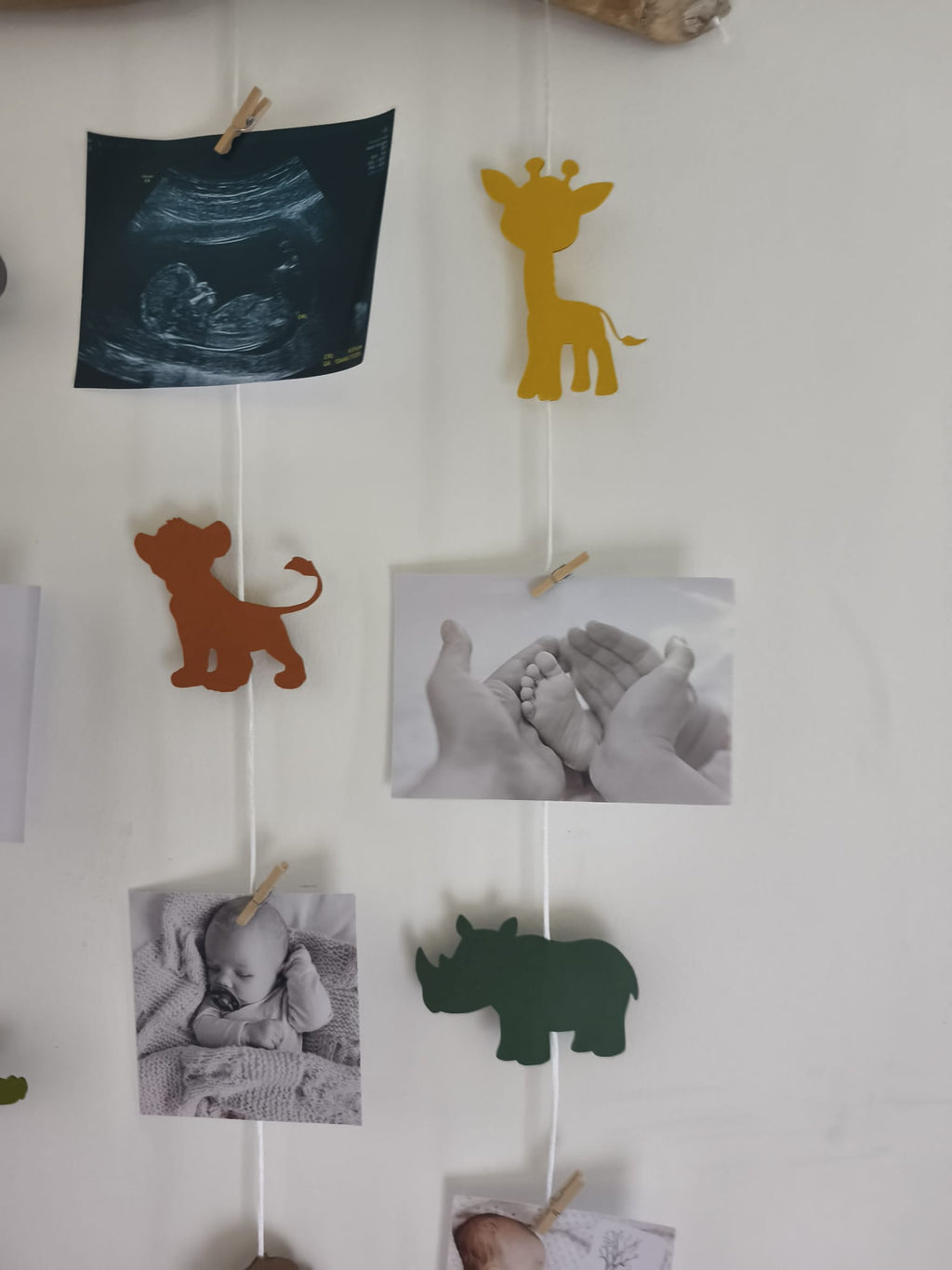Savane 2