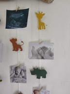 Savane 2