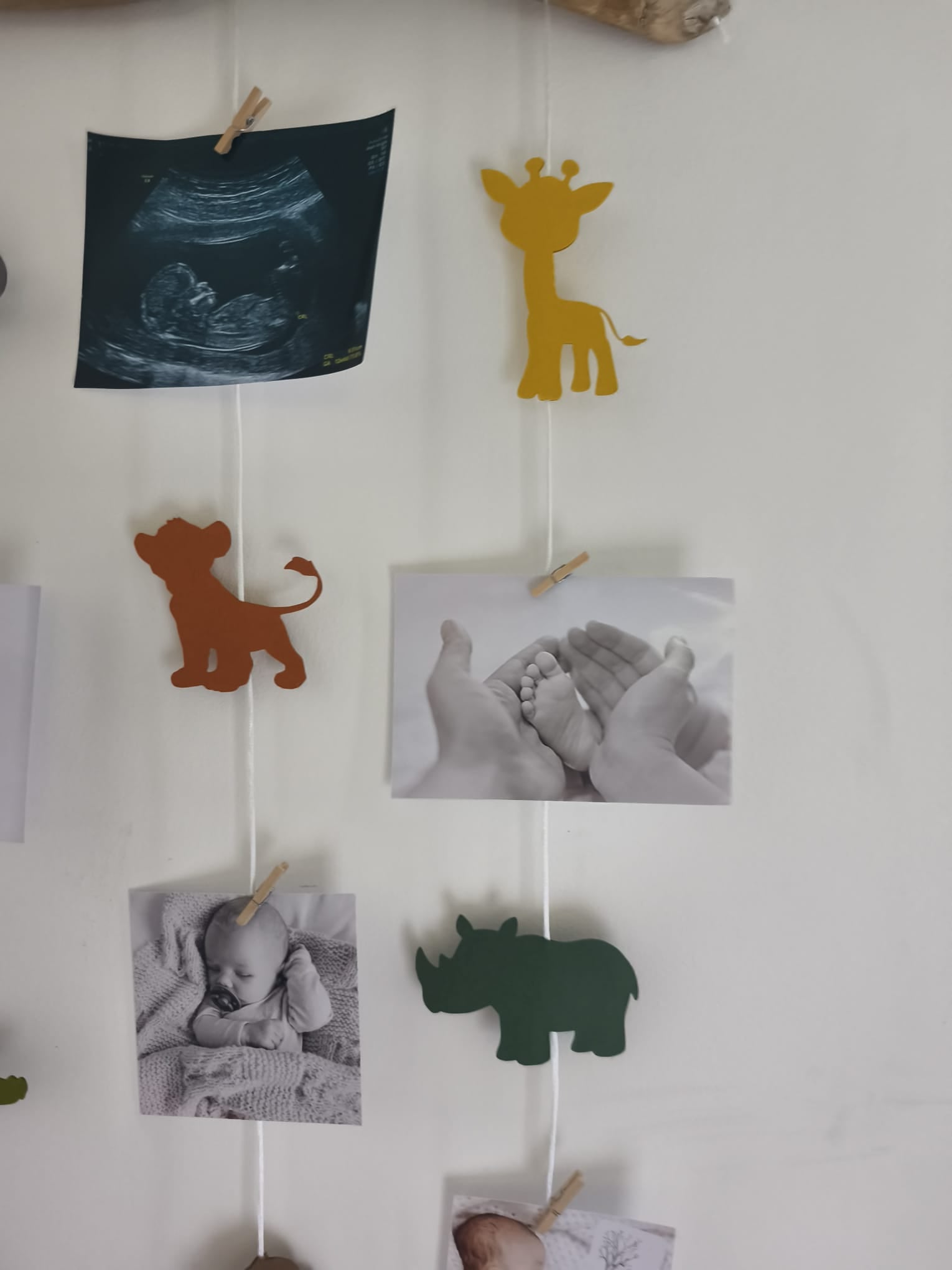Savane 2