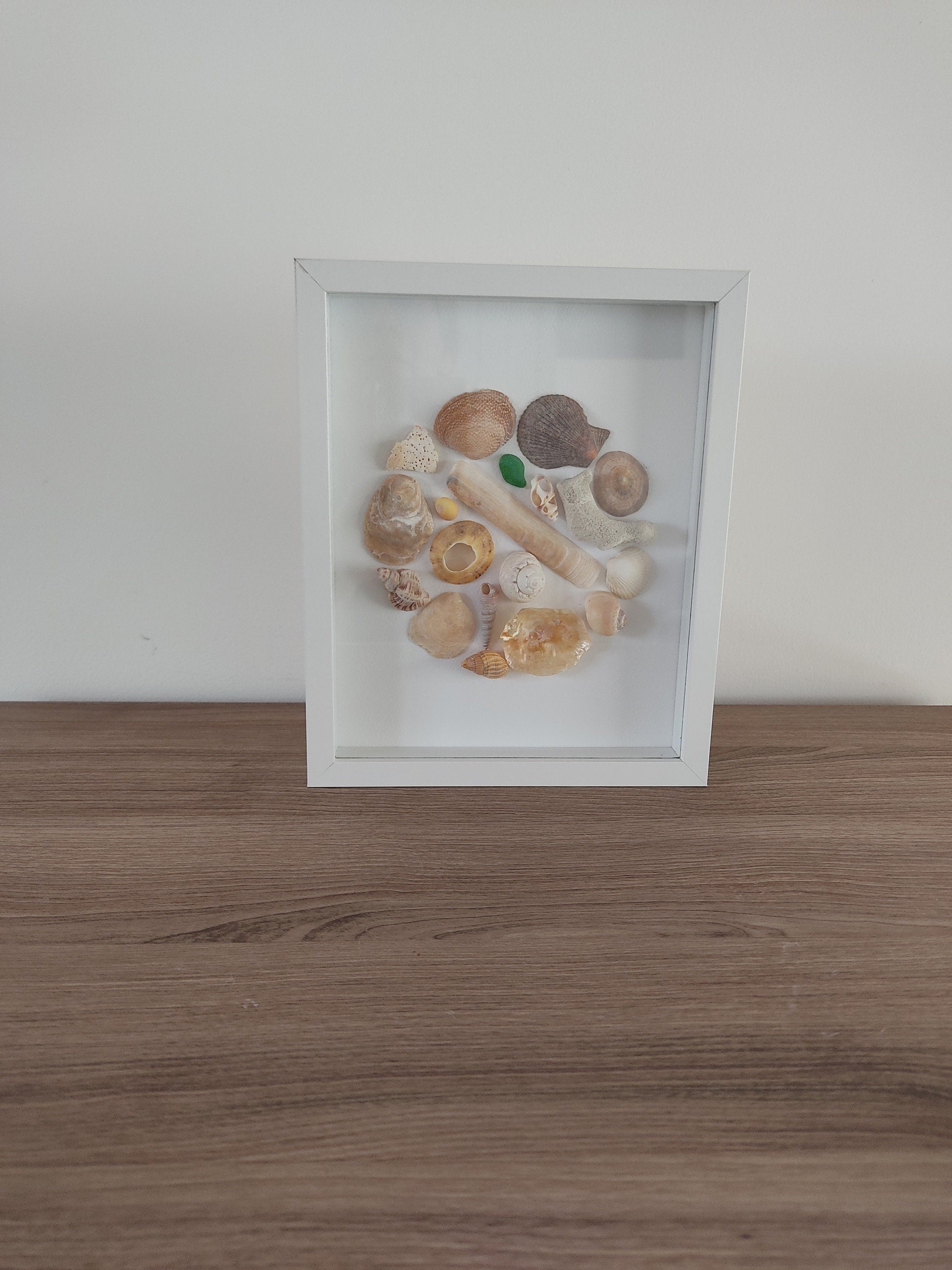Tableau coquillages
