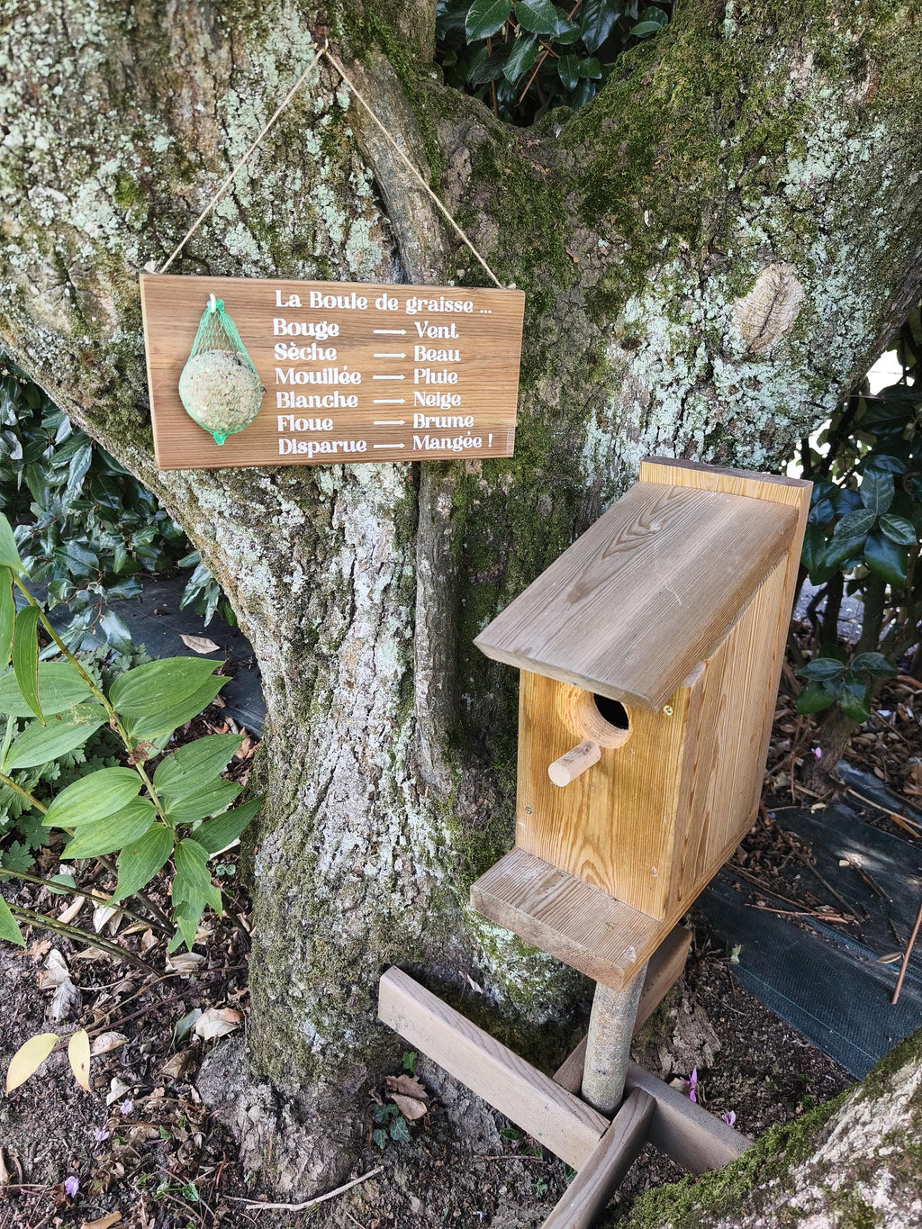 Mangeoire pour oiseaux - Baromètre humoristique