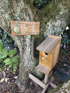 Mangeoire pour oiseaux - Baromètre humoristique