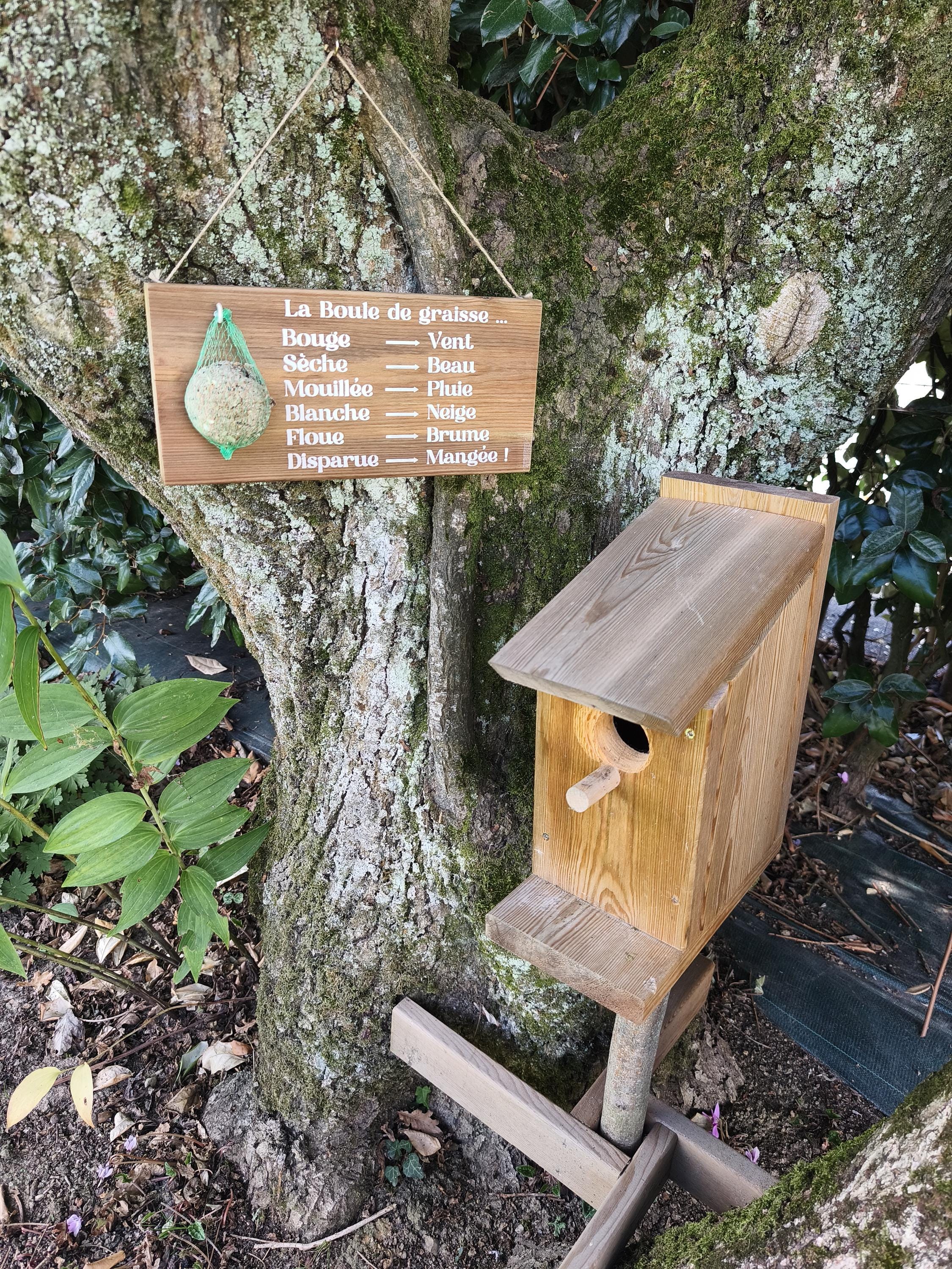 Mangeoire pour oiseaux - Baromètre humoristique