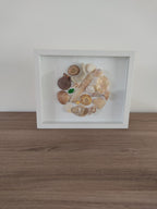 Tableau coquillages