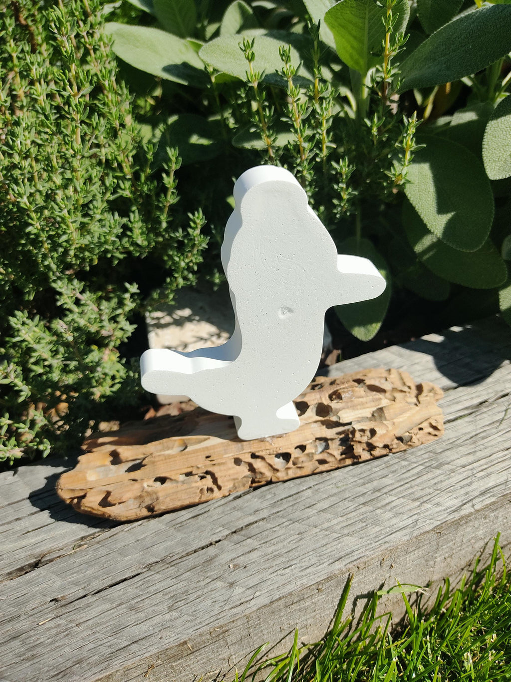 Mouette avec bonnet marin