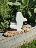 Mouette avec bonnet marin