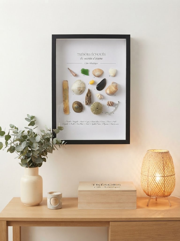 Cadre Coquillages & Trésors Échoués | Décoration Murale Bord de Mer